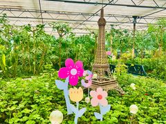 -南宫五洲植物乐园