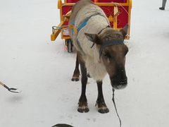 -长春世界雕塑园冰雪艺术天地
