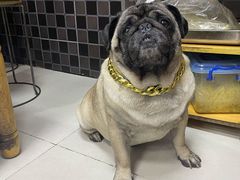 -双冰面馆(茶南店)