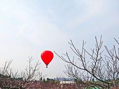 -秀丽东方