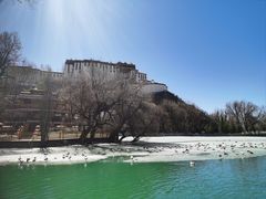 -宗角禄康公园