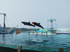 -秦皇岛乐岛海洋王国