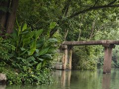 -西溪国家湿地公园