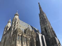 -斯蒂芬主教座堂(Stephansdom)