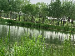 -东郊湿地公园
