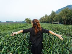-杭州少年儿童公园