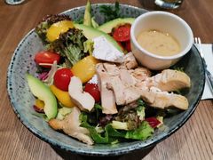 鸡肉牛油果芒果色拉-Wagas沃歌斯(合生汇店)