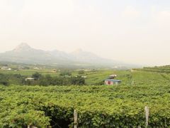 -大泽山风景名胜区