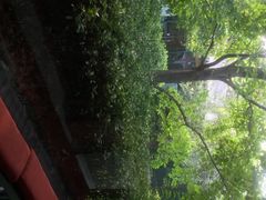 爱康国宾体检中心(日坛店)-爱康国宾体检中心(建国门分院)