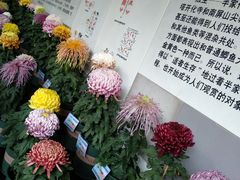 -杭州植物园