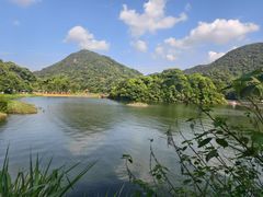 -广州市石门国家森林公园
