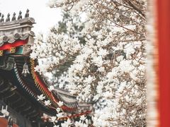 -北京艺术博物馆(万寿寺)