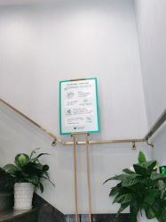 -YESIDO椰岛美容