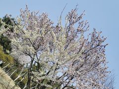 -燕儿岛山公园