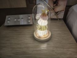 -baby bella小贝拉母婴护理中心(北京东隅店)