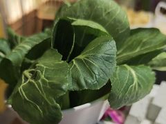 -番食园鲜食火锅(高新店)