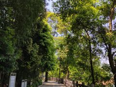 -广州市流溪河国家森林公园