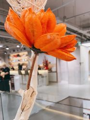 -变画·发型STUDIO