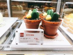 多肉杯蛋糕-85度C(生甜甜圈研究工坊·上海局门店)