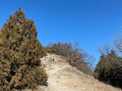 -北京鹫峰国家森林公园