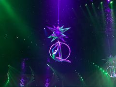 -珠海横琴长隆《卡卡虎奇遇记》