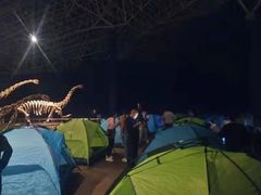 -世界恐龙谷景区