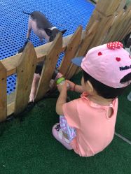 -萌宠亲子动物乐园(槐房万达店)