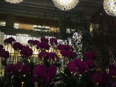 -天津君隆威斯汀酒店