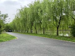 -广富林郊野公园