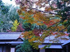-天龙寺