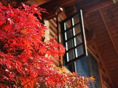 -九如山休闲旅游度假区