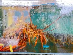 凶巴巴的虾-阿弟特色海鲜餐厅·大排档(平潭店)