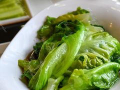 -便宜坊烤鸭店(玉蜓桥店)
