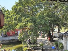 -烟桥私房菜馆(奋哥)