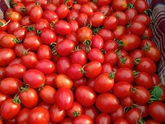 千禧圣女果-领沛鲜果(广益店)