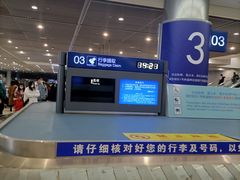 -合肥新桥国际机场-航站楼