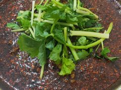 -温江公平红烧兔(总店)