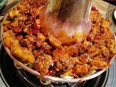 -刘记光大火锅鸡(北行店)