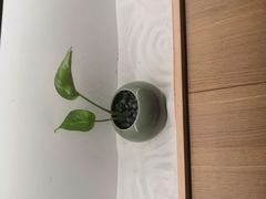 -常乐·对症推拿(嘉里中心第132分店)