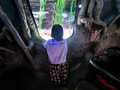 -沈阳海洋探索中心