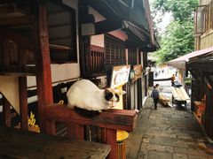-磁器口古镇