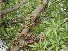 -世界恐龙谷景区