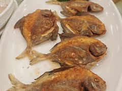 香煎黑鲳鱼-姚林轩