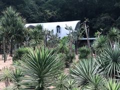 -深圳仙湖植物园