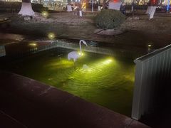 -七宝老街-闵行市民文化广场