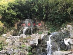 -陶祖圣境风景区