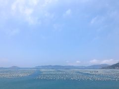 -枸杞岛
