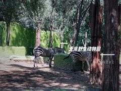 -北京野生动物园