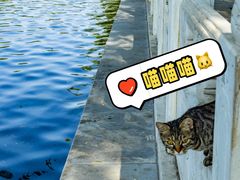 -后海公园