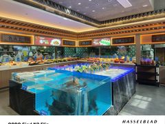 -老德州四合院·德州菜(天衢路店)